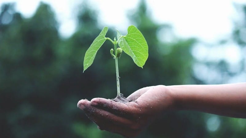 نقش هدفگذاری در توسعه فردی