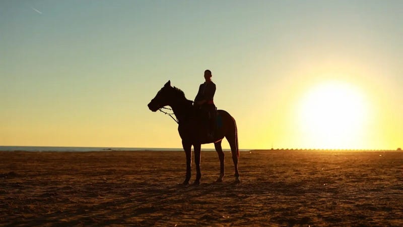 مفهوم اسب سیاه در کتاب